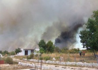 Novi požar kod Valalte, Pineta pod kontrolom
