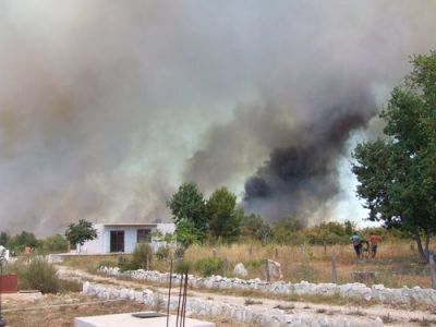Novi požar kod Valalte, Pineta pod kontrolom