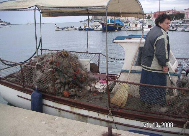 Mreže su potegnute i ulov je pristao u luku Poreč