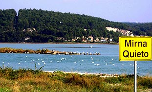 Uprava za zaštitu prirode dopustila istrebljenje nutrija u Istri