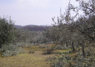 Proljetni radovi