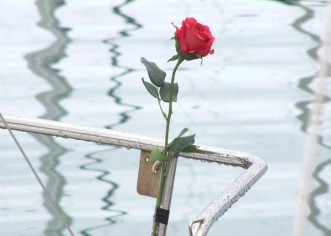 Romantična regata