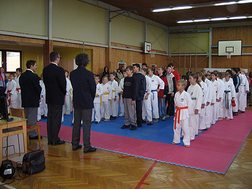 Karate turnir na Sajmu pršuta u Tinjanu