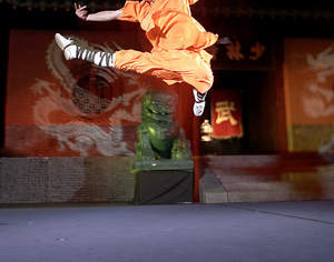 Shaolin: Savršena harmonija tijela i duha