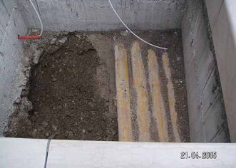 Iskop rupa za sadnju magnolija – bolje liječiti nego spriječiti