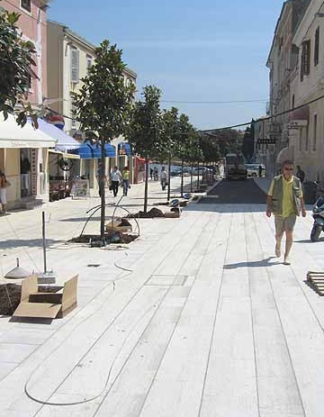 Trg slobode, magnolije, parking motora i motorinića