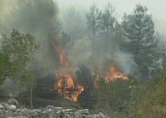 Još jedan požar u Istri – danas kod turističkog naselja Kanegra