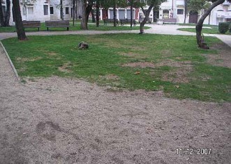 Da li su i ovo gradske zelene površine ?