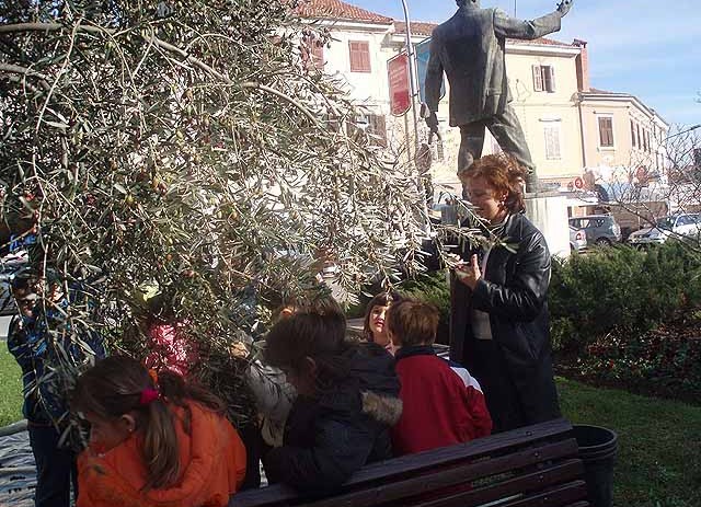 Akcija vrijedna pažnje: djeca iz vrtića Radost obrala masline na Trgu Joakima Rakovca