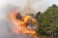 Požar većih razmjera na području Štifanići-Sv. Lovreč