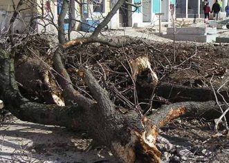 Radovi na Trgu slobode brzo napreduju, kestenovi srušeni, postavlja se i javna rasvjeta