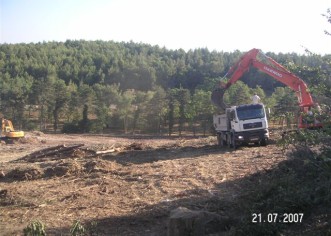 Sječa šume pri kraju, ovdje će biti dvorana