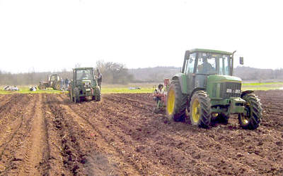 Vrsar: U zakup 115 hektara poljoprivrednog zemljišta