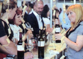 Štifanić: Ne možemo dozvoliti da Vinistra ode