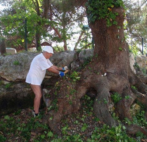 Čovjek koji oslobađa stabla: naš gost – Emanuele Bruzzone