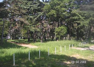 Raste trava zelena ….