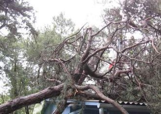 Olujno nevrijeme u Istri, jedna osoba ozlijeđena