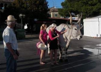 Uspješan festival malvazije