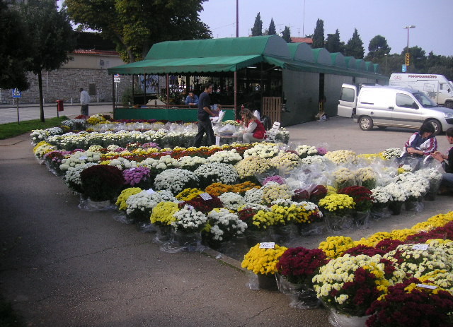 Od utorka, 23. 10. do 1.11. dio parkirališta kod tržnice ograđuje se zbog prodaje cvijeća povodom blagdana Svih svetih