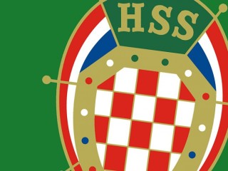 290hss_logo.jpg