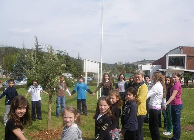 Sadnjom maslina Osnovna škola POREČ obilježila je Dan Planete zemlje