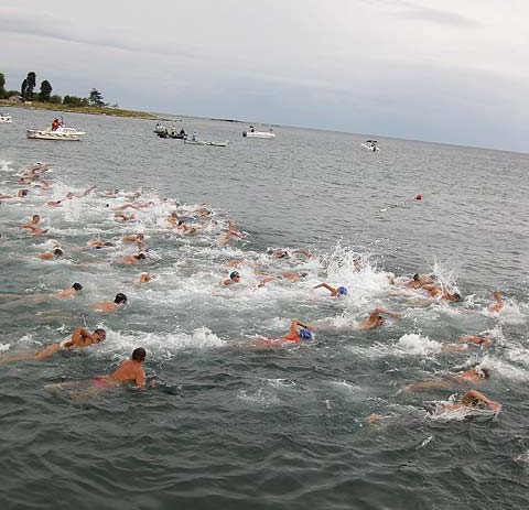 Juniorsko Europsko prvenstvo u plivanju na otvorenim  vodama u Poreču 4. i 5. srpnja