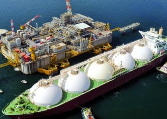 LNG terminal poremetio morski ekosustav