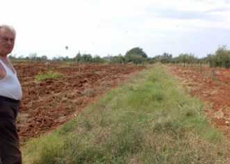 Dugogodišnja svađa rođaka prerasla u fizički sukob