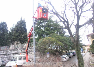 Usluga Poreč krenula s novom uslugom: uređivanjem okućnica