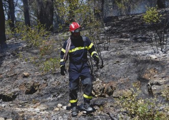 Gorjela šuma kod Tarske vale, buknuo novi požar kod Vabrige
