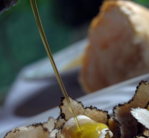 Istra – druga svjetska regija najboljih maslinovih ulja