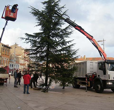 Postavljene dvije Božićne "jelke"