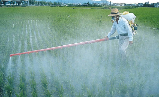 Monsanto preko glifosata, najraširenijeg herbicida, pustoši cijeli Planet