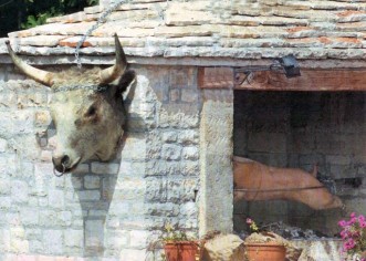 Boškarin i gudin Porečki fjorelin