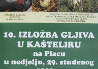 U nedjelju, 29.11. izložba gljiva u Kašteliru