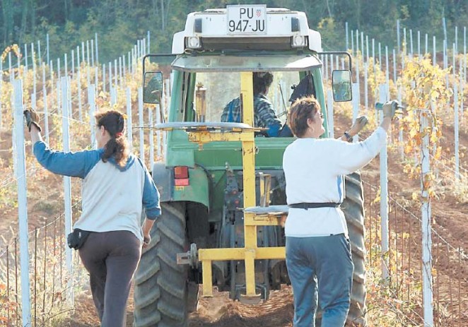 Više od 600 hektara namijenjeno prodaji