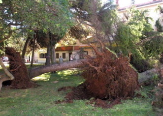 Nevrijeme poharalo zapadnu obalu Istre, u Poreču potonula jahta