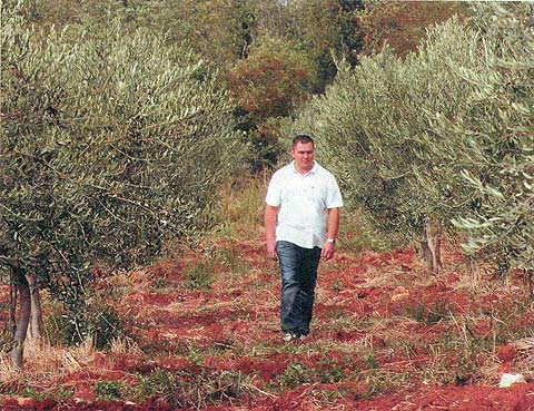 Bit će manje ulja zbog previše kiša