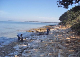 Usluga i dalje čisti plaže od mazuta
