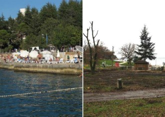 Građani: Stabla srušili zbog boljeg pogleda na more; Hotel: Stabla su bila stara, sadimo ih još više!