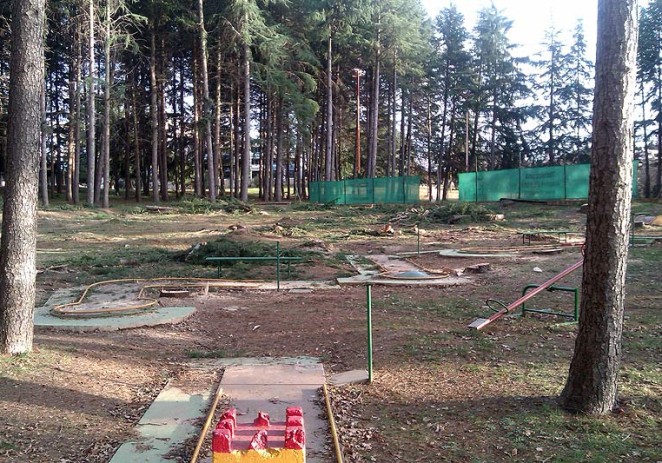 Posječena stabla na Brulu – službeni odgovor Riviere Adrie