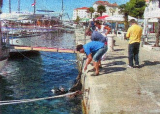 U porečkom podmorju smeća na vreće