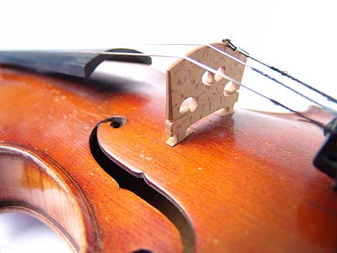„Dani violine“ u Osnovnoj glazbenoj školi „Slavko Zlatić" Poreč