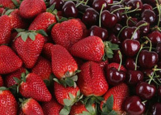Degustacija jela i pića od trešanja i jagoda u Kašteliru