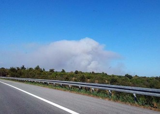 100 hektara zahvaćeno požarom