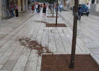 Važne sitnice na Trgu