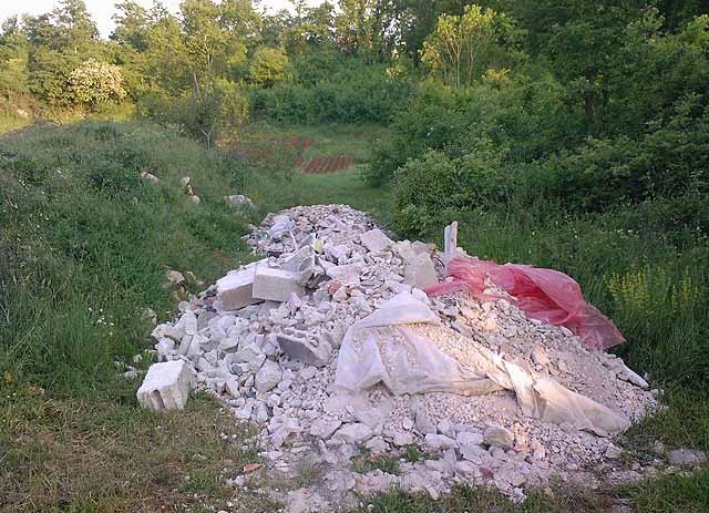 Akcija Neka moja Istra blista i šumarci