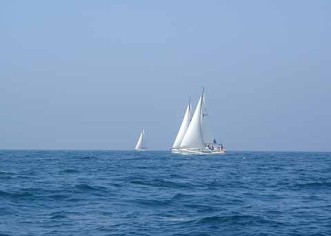 Usluga Poreč: regate "Bayerische Hochseesegler Munchen"