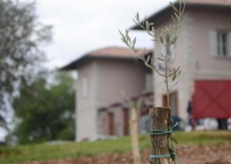 Porečki Institut traži ravnatelja