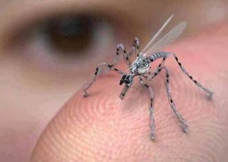 Jesenska akcija suzbijanja komaraca